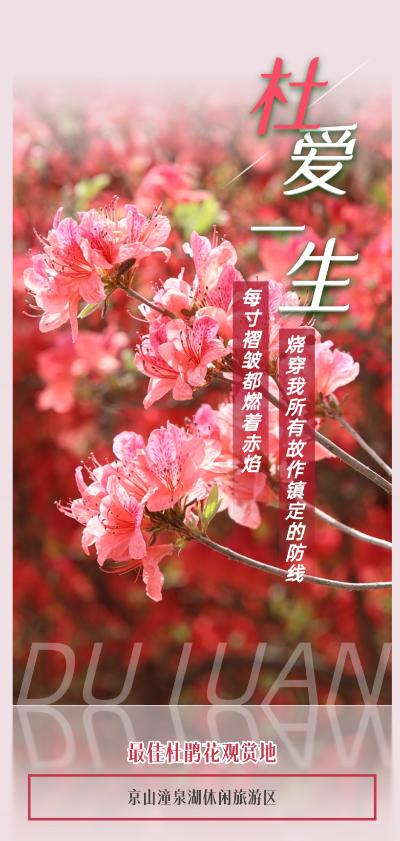 154945q1w1bxitevsshh22.png