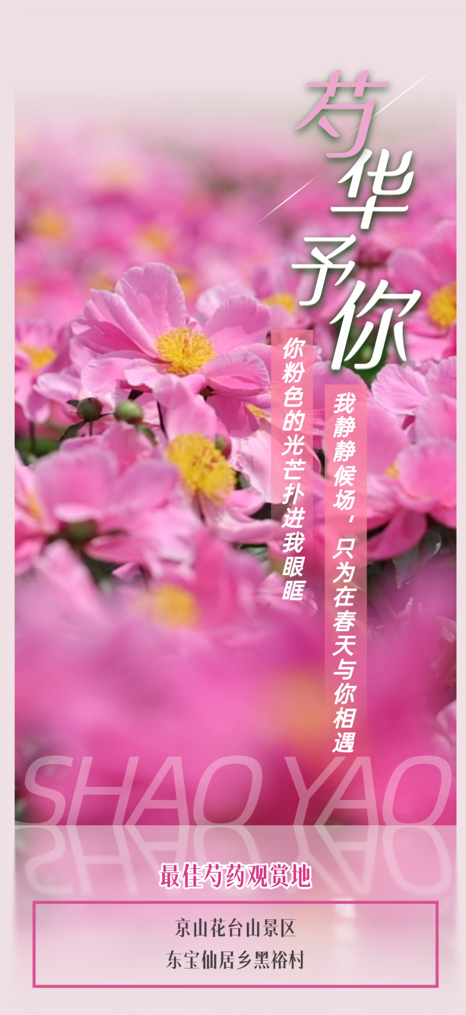 154947z5d3wc6cc3gp3u5z.png