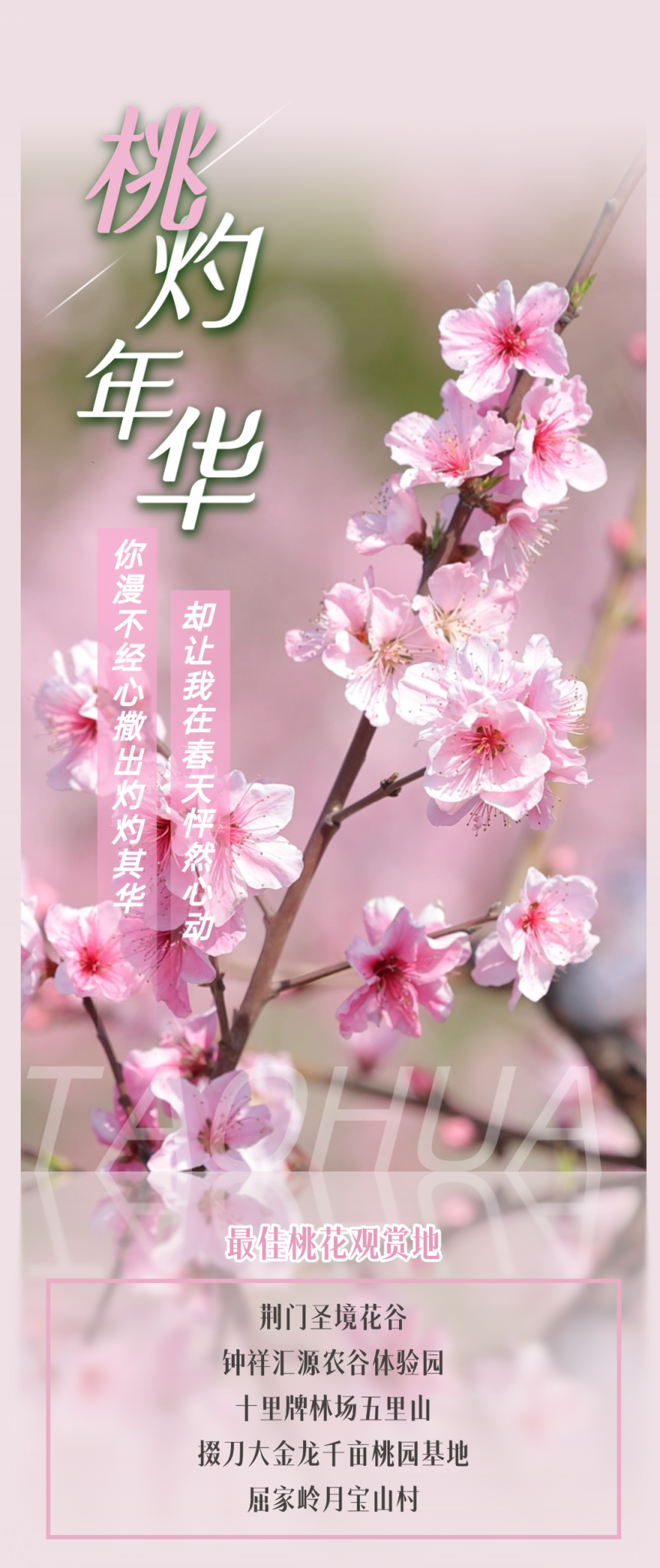 154951db9uw9jlh2999j27.png