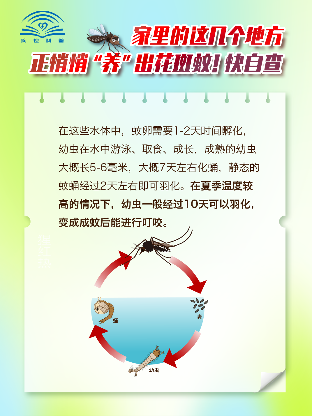 165131u57xj72mzrgfkjmj.png