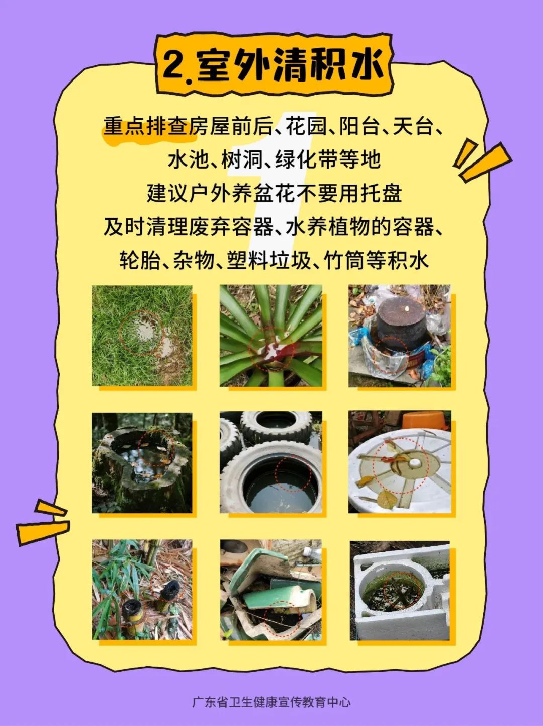 165433rrm3qk3ibtno3n2q.jpg