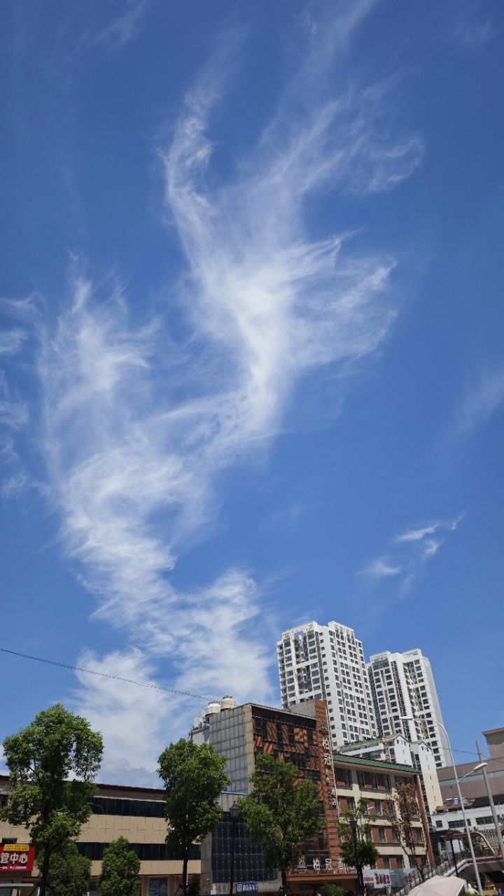 20250820153447front2_0_3687531_FrIpo12fLUbJeUr80Zxu7me0LLhf.jpg