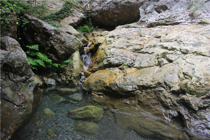 IMG_2969.jpg