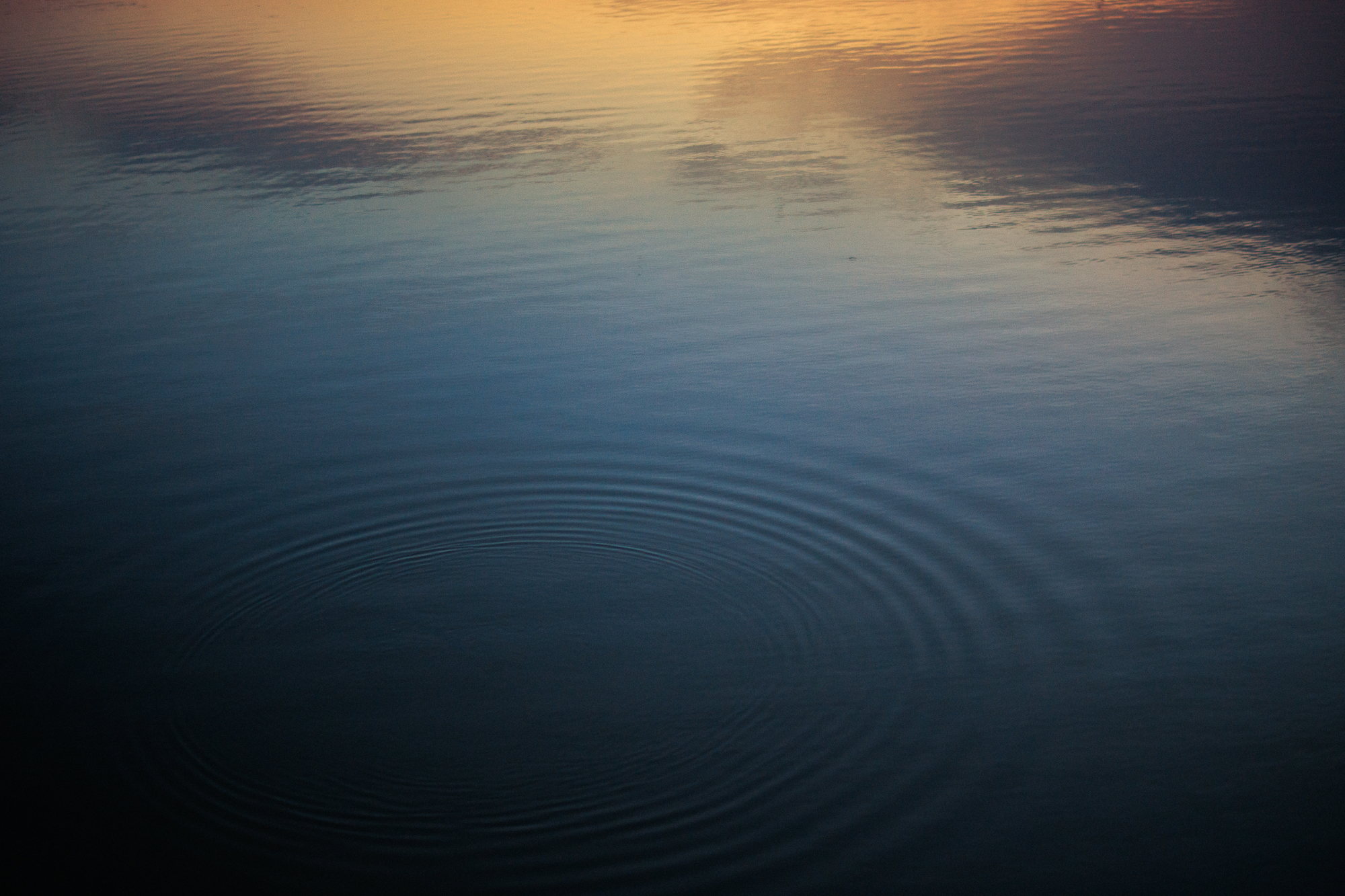 _MG_4367.jpg