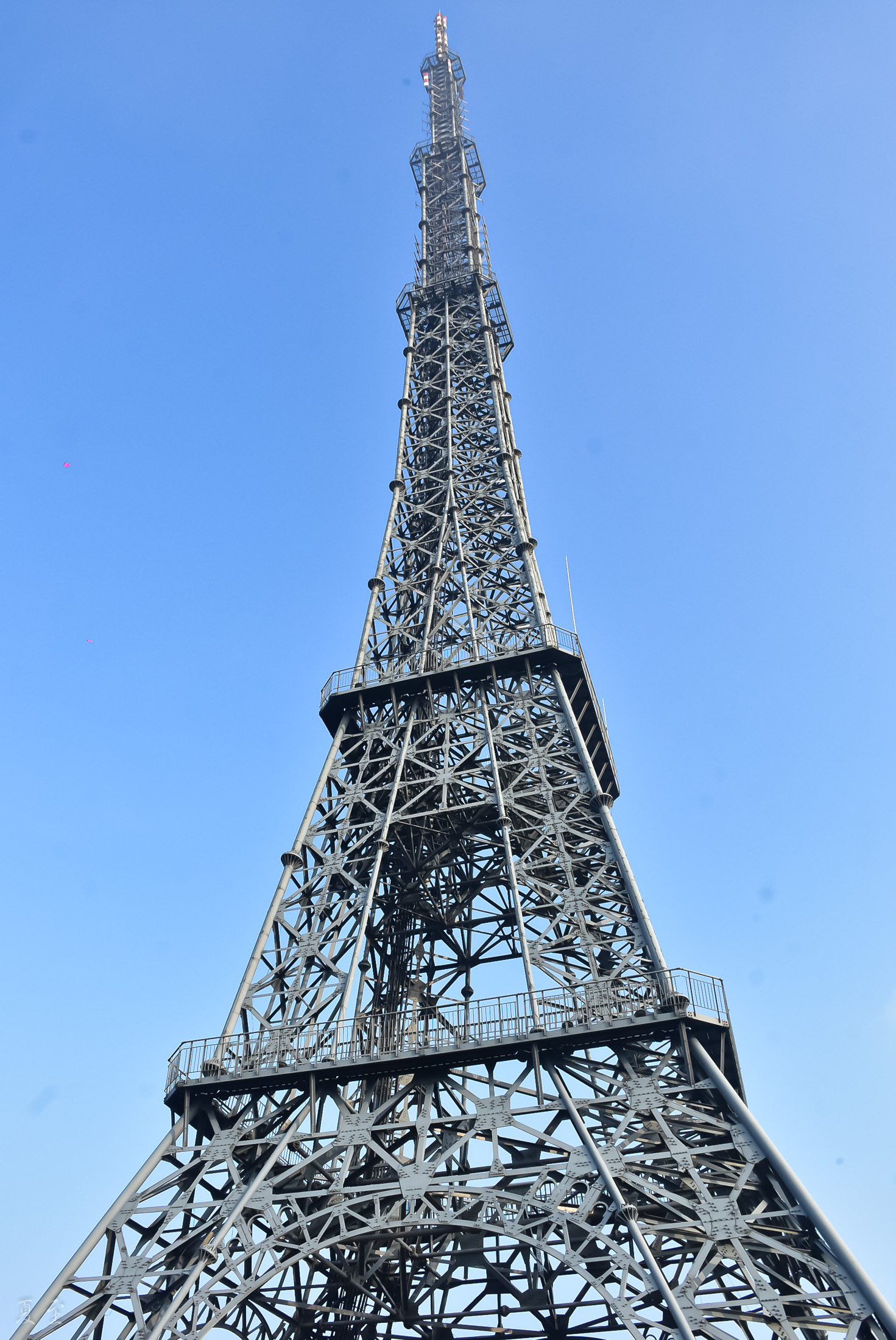 DSC_2489.jpg