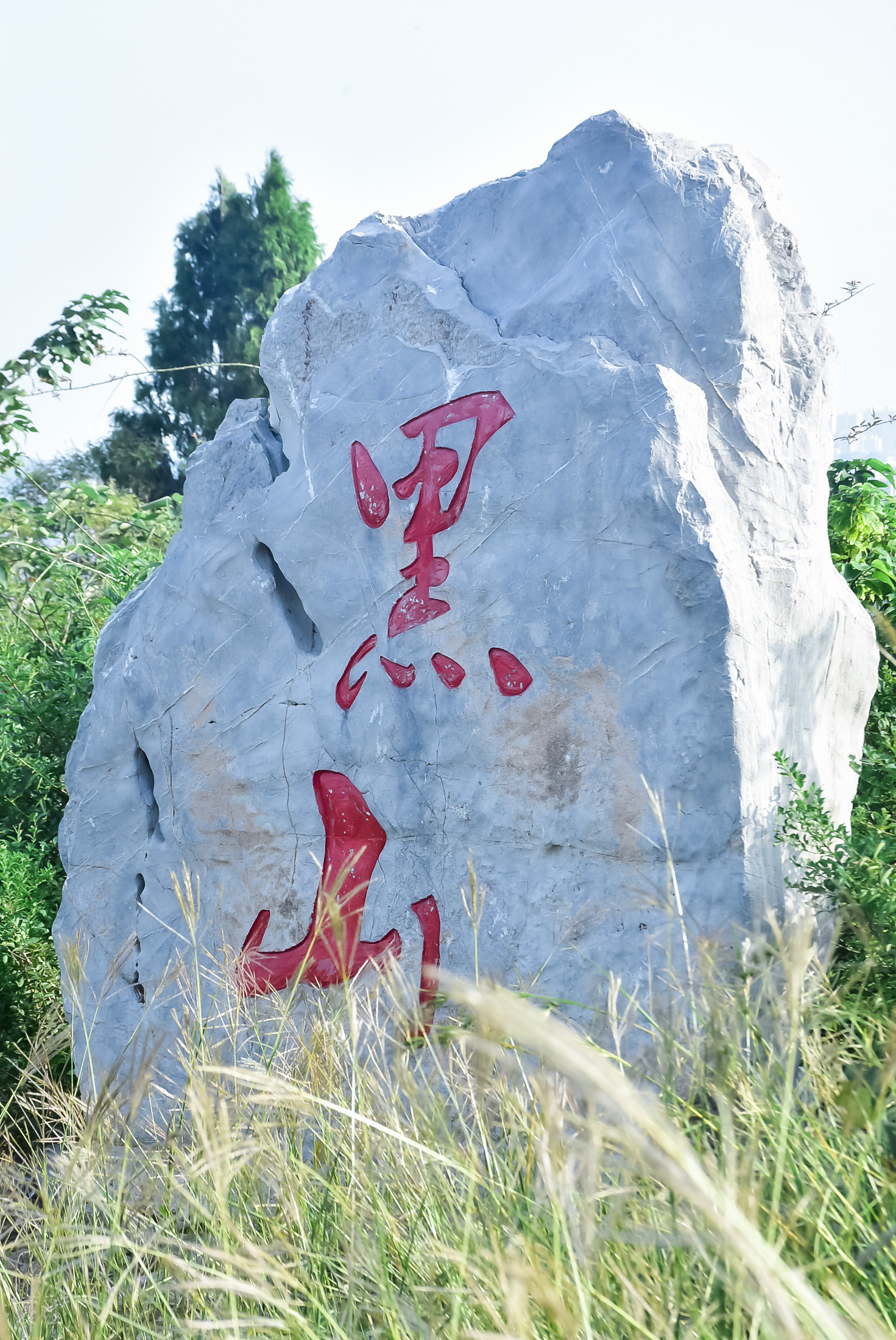 DSC_2474.jpg