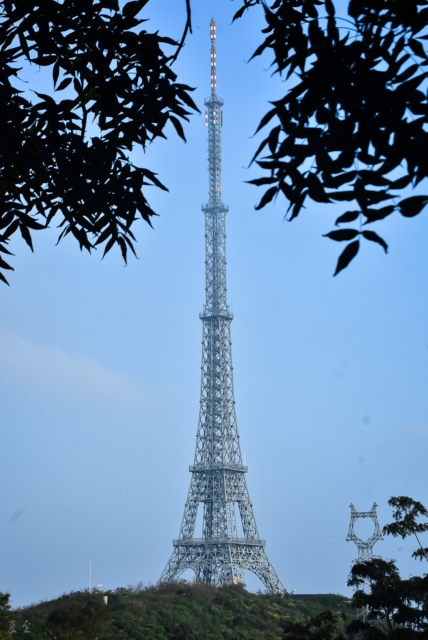 DSC_2515.jpg