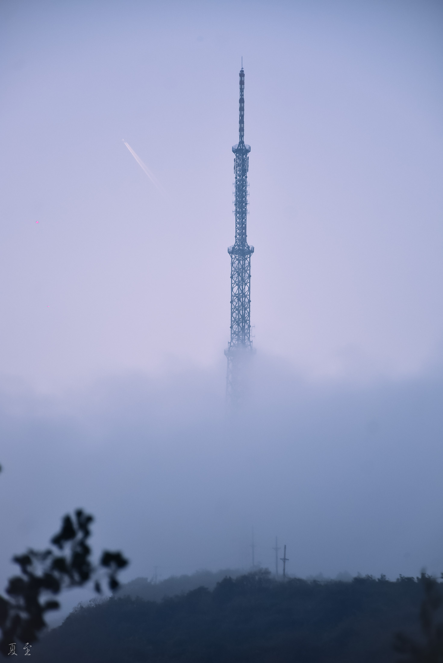 DSC_2587.jpg