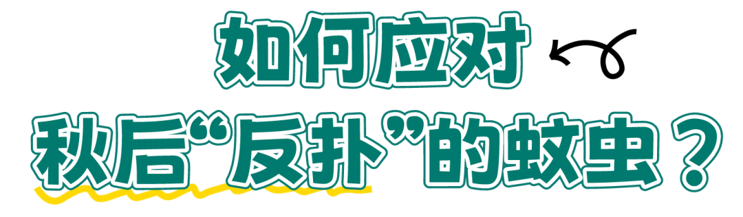 085245d3r2ktpe9aptex0o.png