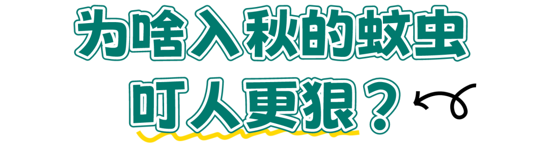 085245celrccnfr7lcg8dc.png