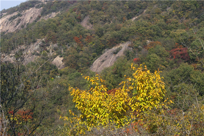 IMG_3526.jpg