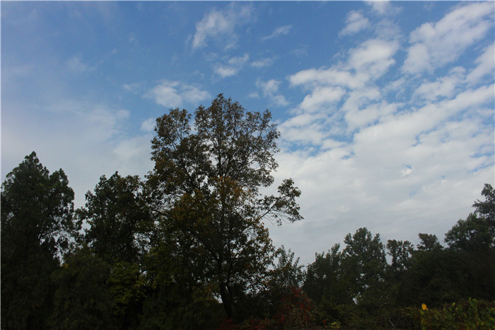 IMG_3634.jpg