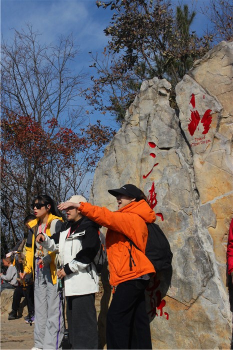 IMG_4255.jpg