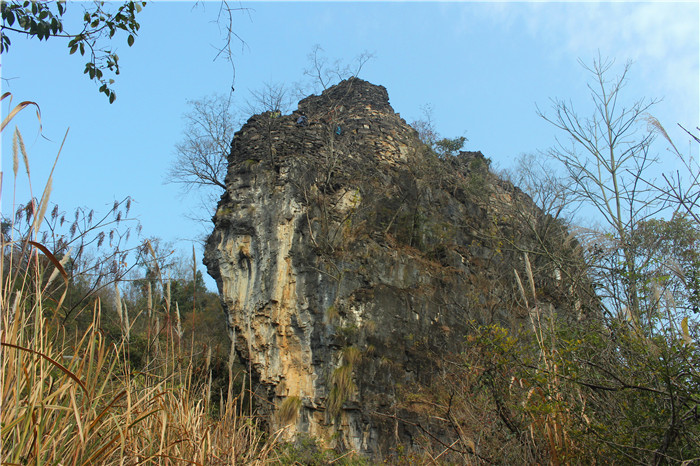 IMG_4275.jpg