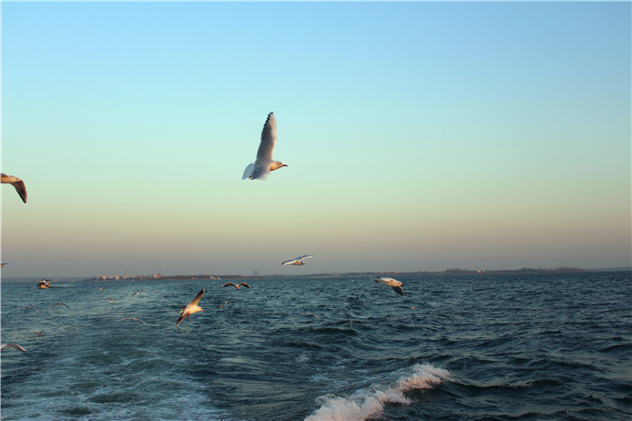 IMG_4865.jpg