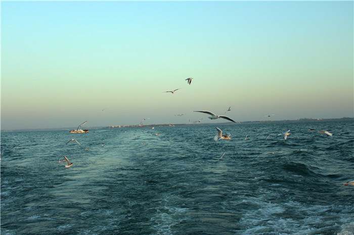 IMG_4874.jpg