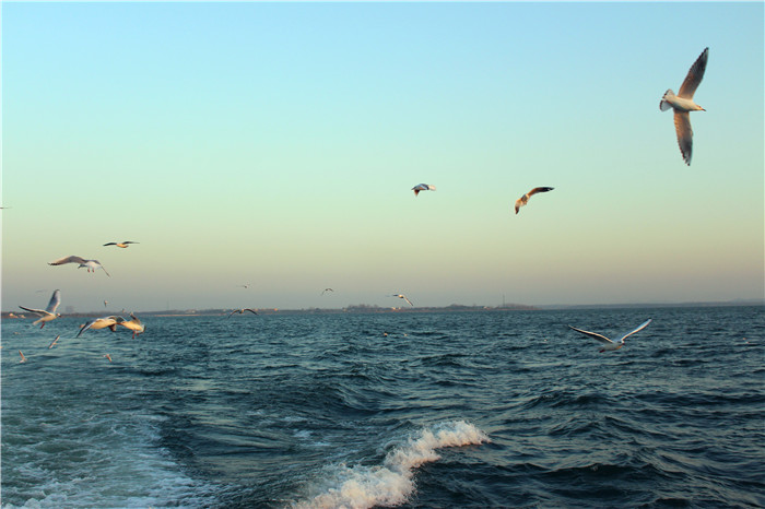 IMG_4849.jpg
