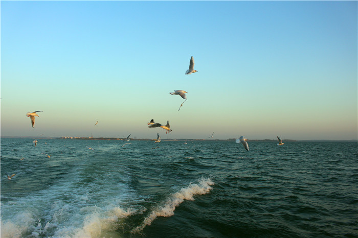 IMG_4839.jpg