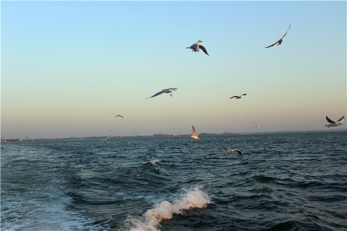 IMG_4846.jpg