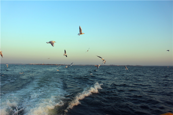 IMG_4838.jpg