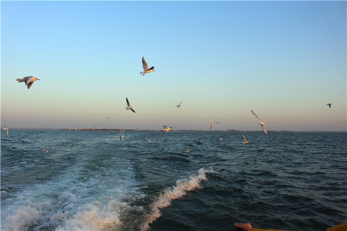 IMG_4837.jpg