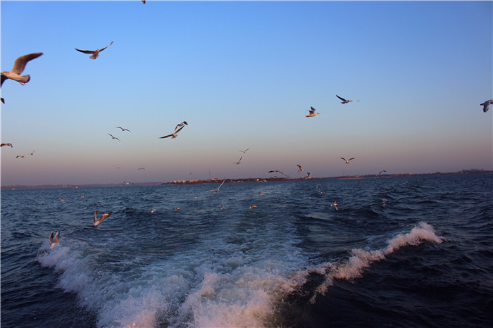 IMG_4791.jpg