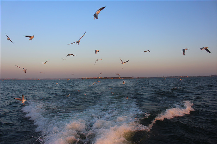IMG_4788.jpg