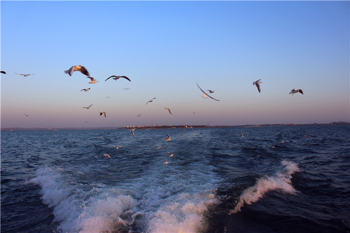 IMG_4786.jpg
