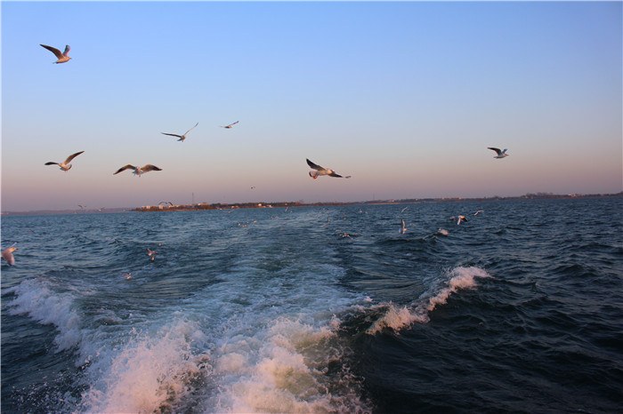 IMG_4780.jpg