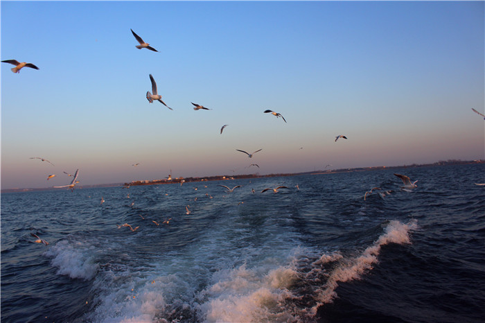 IMG_4776.jpg