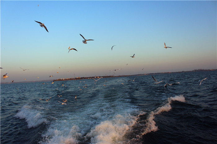 IMG_4774.jpg