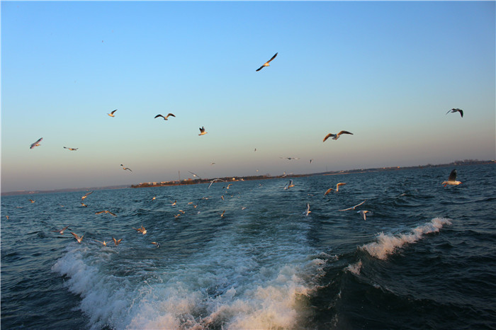 IMG_4769.jpg