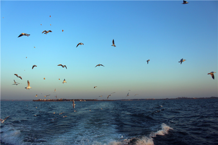 IMG_4762.jpg