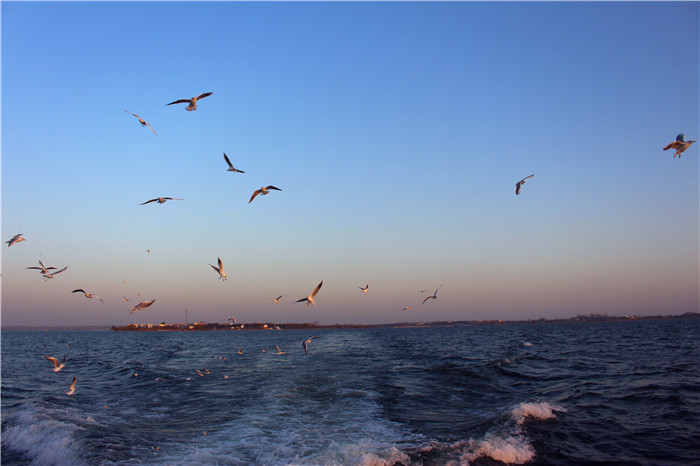 IMG_4764.jpg