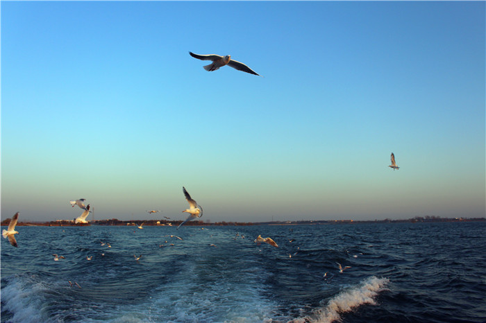 IMG_4750.jpg