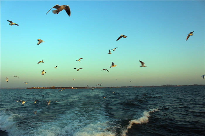 IMG_4759.jpg