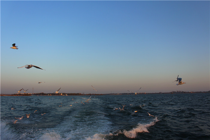 IMG_4746.jpg