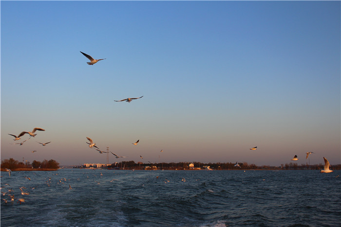 IMG_4726.jpg