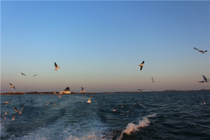 IMG_4741.jpg
