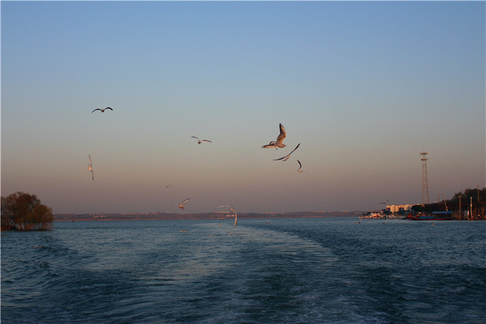 IMG_4695.jpg