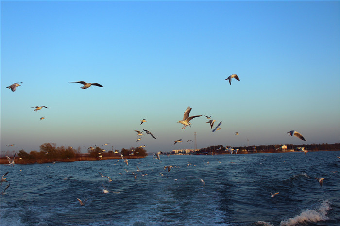 IMG_4720.jpg