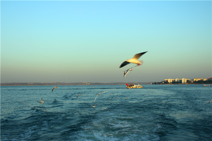 IMG_4652.jpg