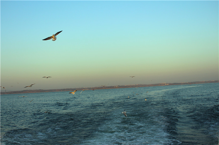 IMG_4681.jpg