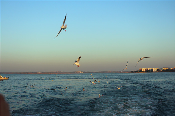 IMG_4643.jpg