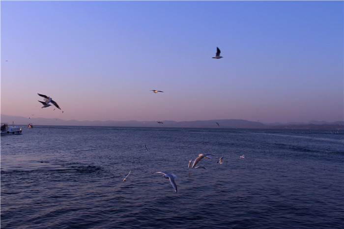 IMG_4611.jpg