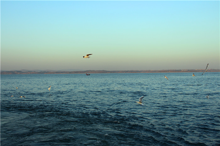 IMG_4630.jpg