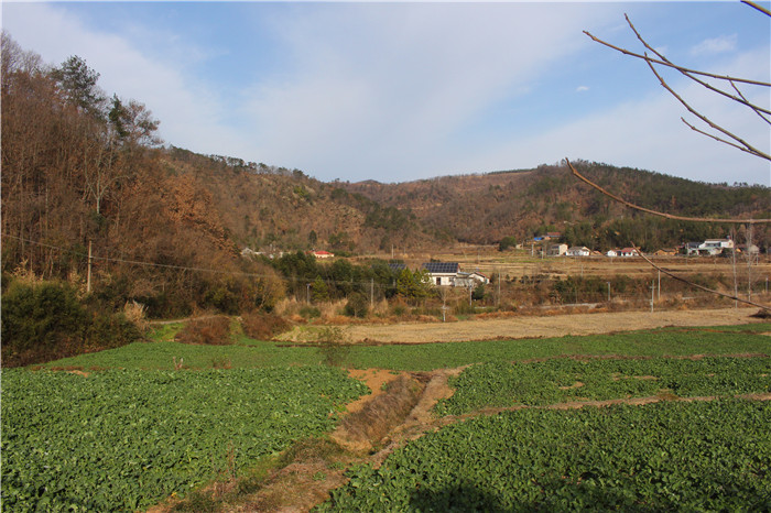 IMG_5382.jpg