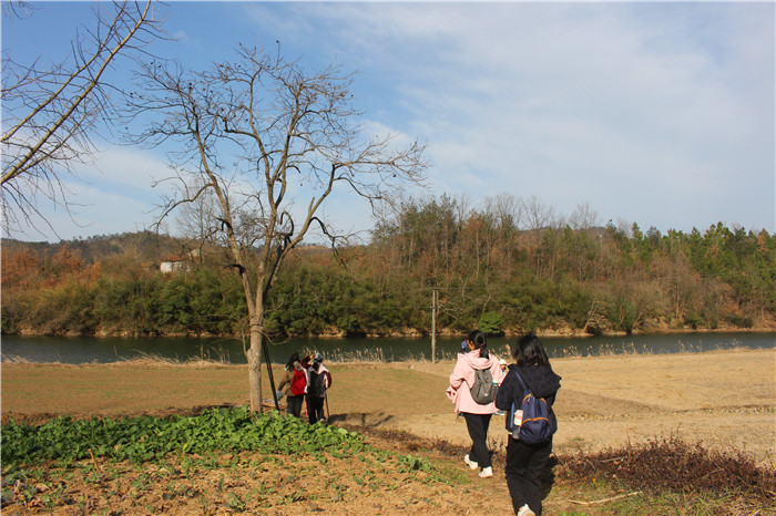 IMG_5405.jpg