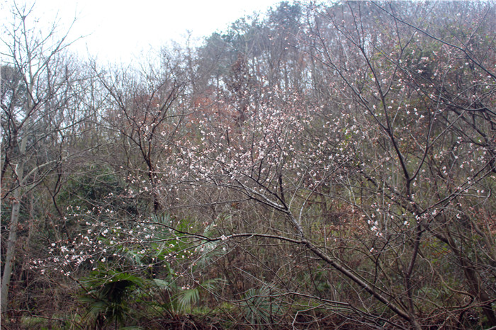 IMG_6174.jpg
