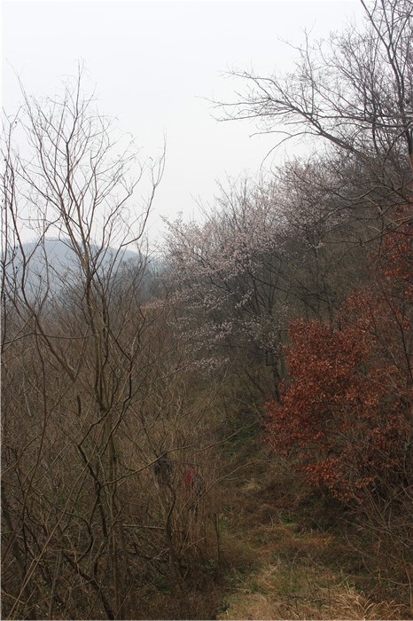 IMG_6268.jpg